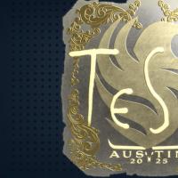 【平台担保 steam平台-CS2装备皮肤交易】印花 | TeSeS（金色）| 2025年奥斯汀锦标赛【自动发货 0秒入库】